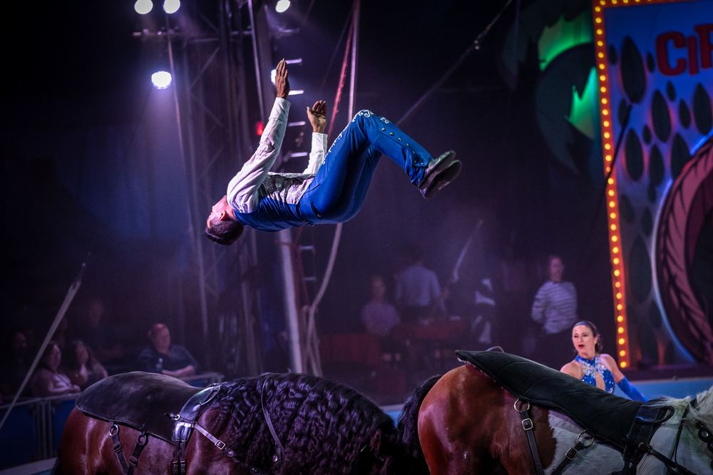 Rider vaulting over horses in the ring